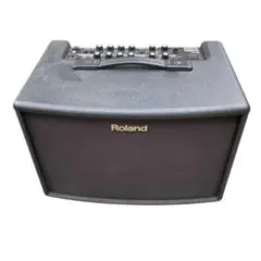 2025年最新】roland ac-60の人気アイテム - メルカリ