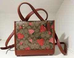 COACH ￼いちご柄 デンプシー♡CH324☆タイムセール‎(ت*)