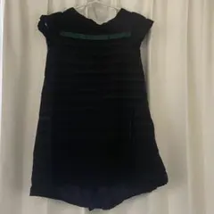 sacai reel of lyricism ストライプ 半袖Tシャツのサムネイル