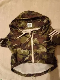 Item thumbnail for item da558331-cb0e-4a1e-83d5-02264411349a