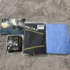 SPALTAX メンズ 競泳水着 イエロー Lサイズ 新品