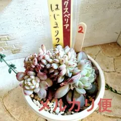 メルカリ