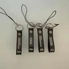 Item thumbnail for item 8c88de2f-e34c-4180-b0b2-bfbc1bf07628