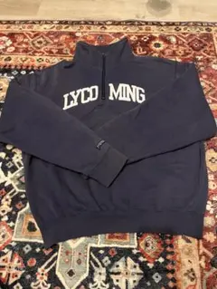 チャンピオン 刺繍ロゴ スウェットハーフジップM