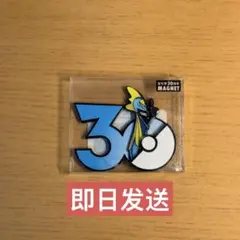 中国限定 ポケモン30周年 マグネット 宝可梦MAGNET エアームド - メルカリ