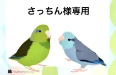 ✴︎さっちん様専用✴︎