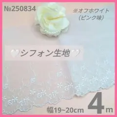 №250834 シフォン生地　オフホワイト　 チュールレース