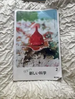 Item thumbnail for item 546df192-5405-4889-a288-87b5b195b88f