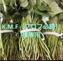 シルクスイート　700本　新鮮さつまいも苗　無農薬 シルクスイート 100本 新鮮さつまいも苗 無農薬 - メルカリ