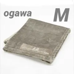 Item thumbnail for item a0ea3b63-d595-406e-8a11-41f4addc510f