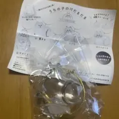 うちの子のけだまだま ネコ 猫 ガチャガチャ