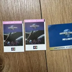 최종 가격 인하!USJ 파트너 패스 성인 2종 세트