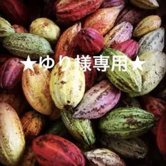 ★ゆり様専用★