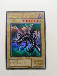 m*u様 真紅眼の黒竜 (PG-09)　パラレル