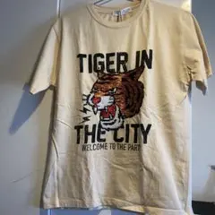 トラスパンコールTシャツ 140cm ベージュのサムネイル