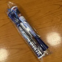 西武ライオンズ西川愛也選手メガホン
