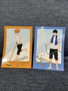 ハイキュー!!トレーディング箔押しブロマイド プール掃除ver. 【日向、影山】