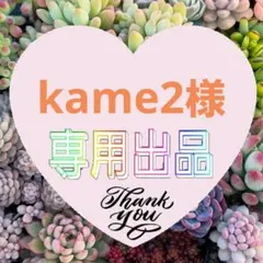 【速達】kame2様 専用
