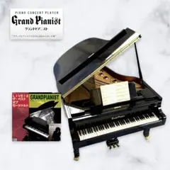 2026年最新】グランドピアニスト sdの人気アイテム - メルカリ