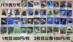 鳥羽水族館 コレクションカード2 とばすいコレカ2 ノーマルコンプ