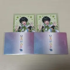 すたぽら VOISINGチップス チプカ