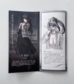 カルタグラ パンフレット Innocent Grey イノセントグレイ