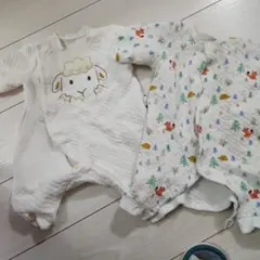 Item thumbnail for item e8eeba2f-3fa7-4351-8cd9-21d2f51461a5