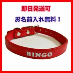 【名前入れ】文字プリント オリジナル首輪 赤レッド Mサイズ【名入れ】