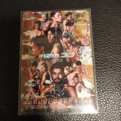 RIZINポテトスティック ポスターカードコレクション 13 RIZIN.33