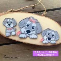 【特別ハッピー価格♡】1セット限定ミニチュアシュナウザーシュナウザー