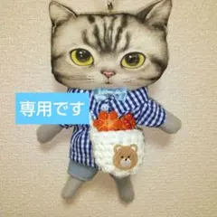 ＊コヤンイサムチョン＊薄型 ぬいぐるみチャーム[サバねこちゃん♥] コヤンイサムチョン＊薄型 ぬいぐるみチャーム[サバねこちゃん