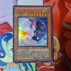 光と闇の竜