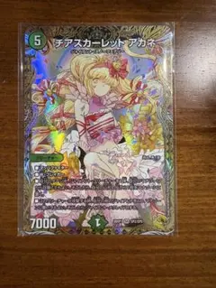 チアスカーレット アカネ 金トレジャーのサムネイル