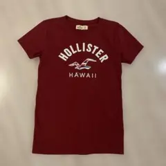 HOLLISTER Tシャツ