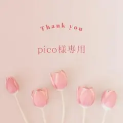 pico様専用ページです。