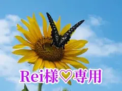 Rei様❤️おまとめ専用ページです。12/7まで♡