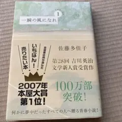 一瞬の風になれ 佐藤多佳子