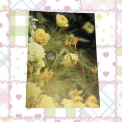 劇場版 美しい彼 エターナル DVD - メルカリ