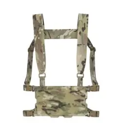 Ferro Concepts チェストリグミニ