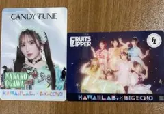 ビックエコー×カワラボ コラボ　FRUITS ZIPPER集合　小川奈々子