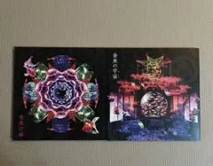 Item thumbnail for item e19c1003-1a8d-48d3-a33a-7923865a7bf9