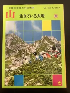 2025年最新】学習ずかん百科の人気アイテム - メルカリ
