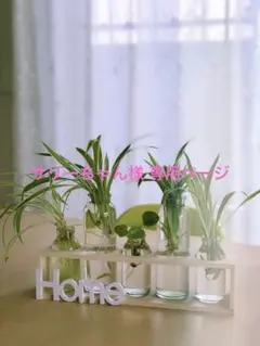 サリーちゃん様 リクエスト 4点 まとめ商品