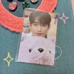 SEVENTEEN セブチ ドギョム トレカ DICON 特典