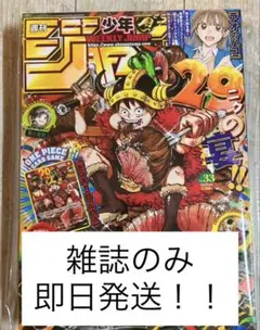 週刊少年ジャンプ 33号 ONE PIECE 付録カード無し 雑誌のみカード無し