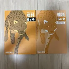 四谷大塚 予習シリーズ 理科 6年 上 解答と解説セット