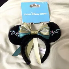 ディズニーシー アナ雪 アナ キーチェーン