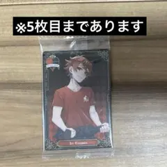 ツイステ エース トレカ ぬいぐるみ