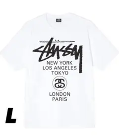 STUSSY WORLD TOUR TEE ワールドツアーT 白 L