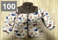 恐竜 ジャケット